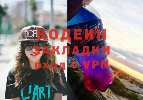 шишки Богородицк