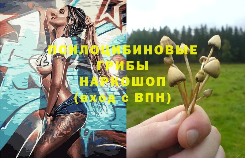 Псилоцибиновые грибы MAGIC MUSHROOMS  купить   Сим 